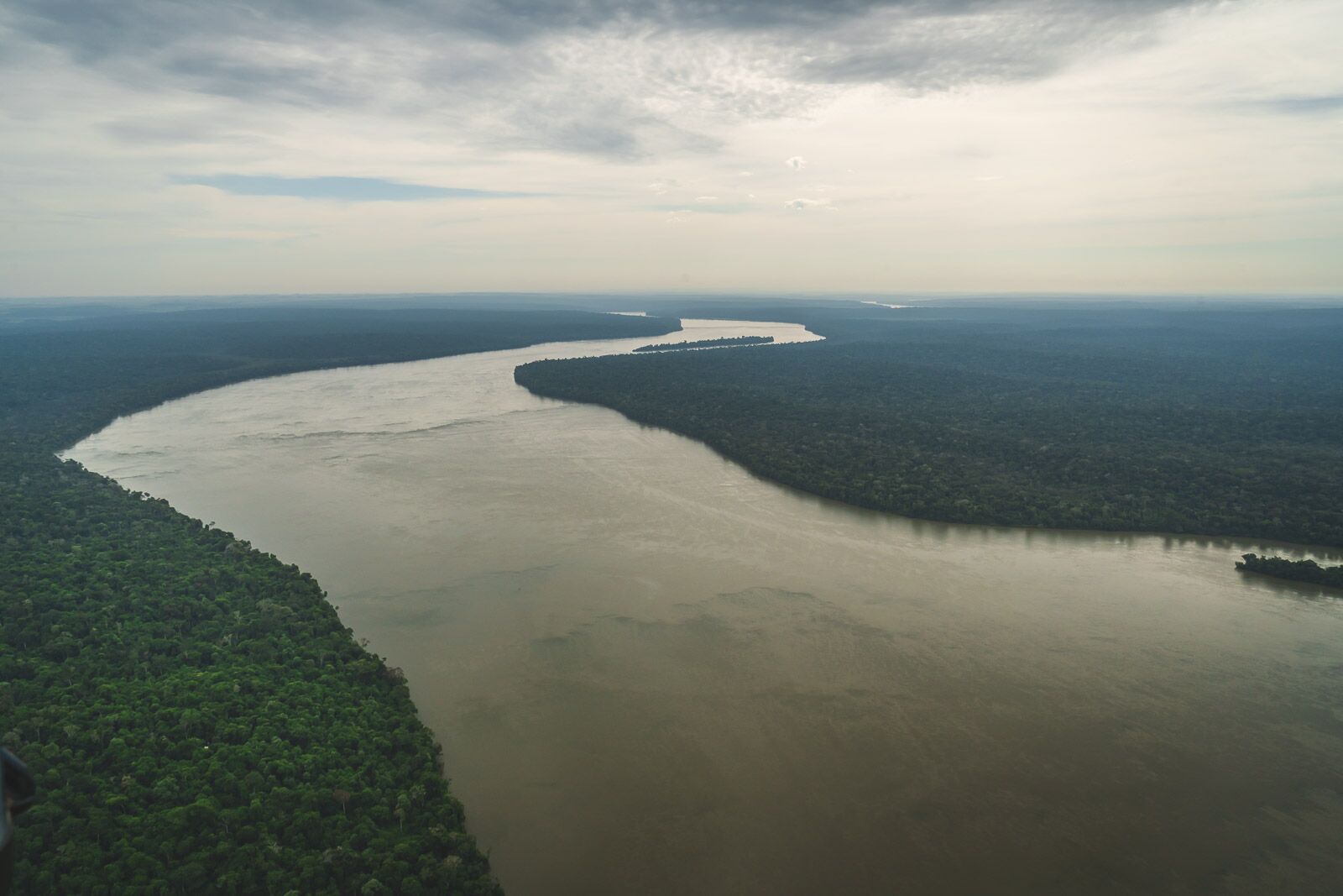 Hechos de Brasil Selva tropical