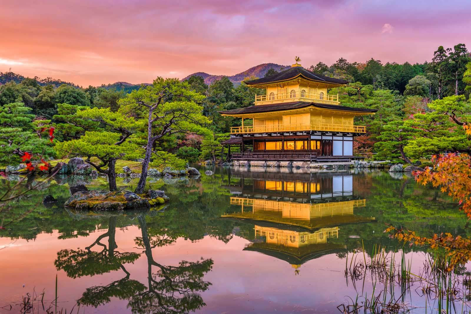 Qué hacer en Kyoto, Japón Templo Kinkakuji