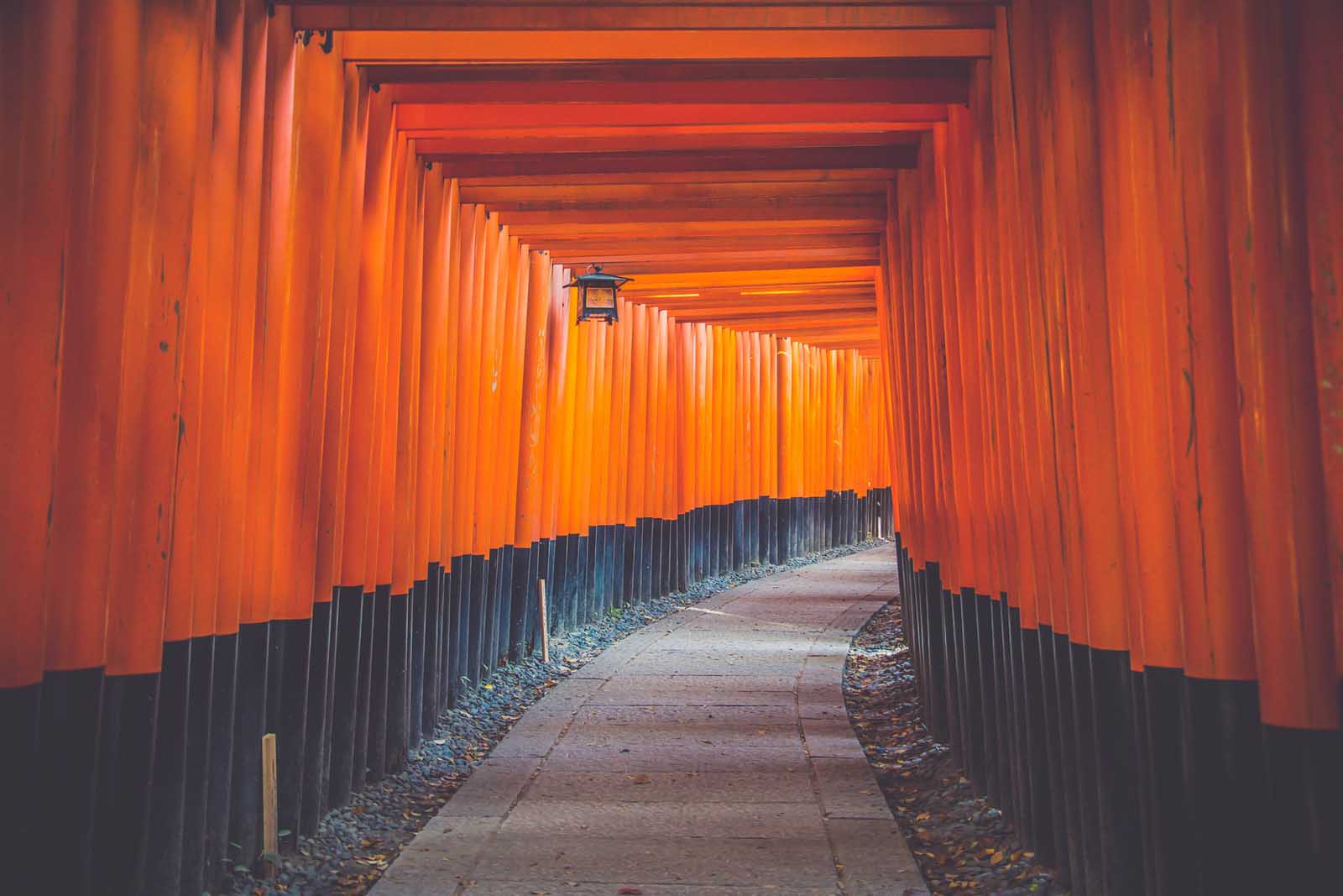 Qué hacer en Kyoto Japón Fushimi Inari Shrine