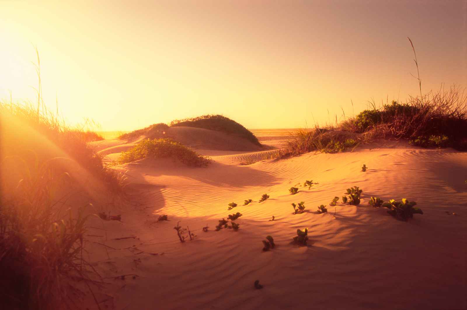 Escapadas de fin de semana en Texas South Padre Island National Seashore