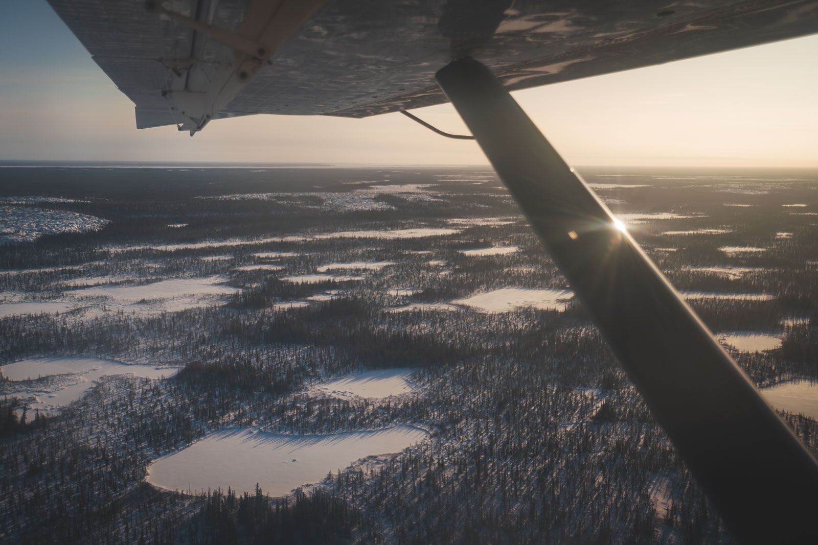 Wapsuk National Park cerca de Churchill Manitoba