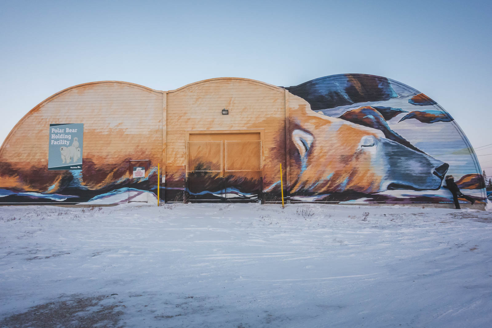 La prisión del oso polar en Churchill, Manitoba