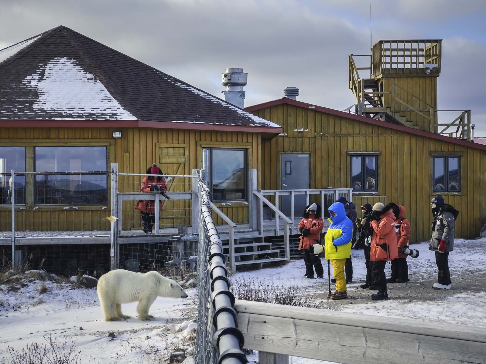 Excursiones de oso polar Churchill Wild Prep