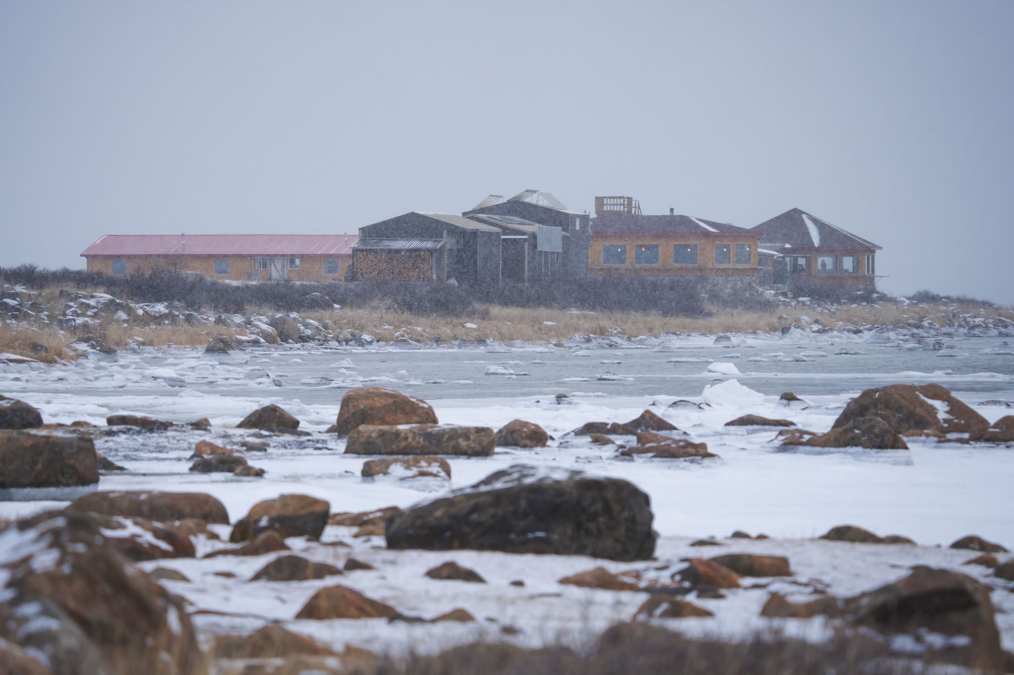 seal river heritage lodge polar bear tours churchill