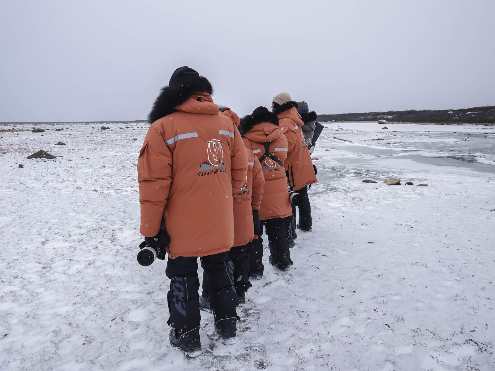 Seguridad de la excursión de Churchill Wild Polar Bear