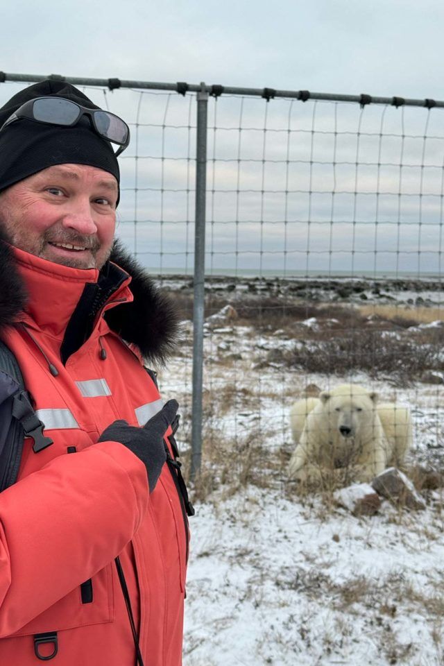 el oso polar recorre el zoológico humano