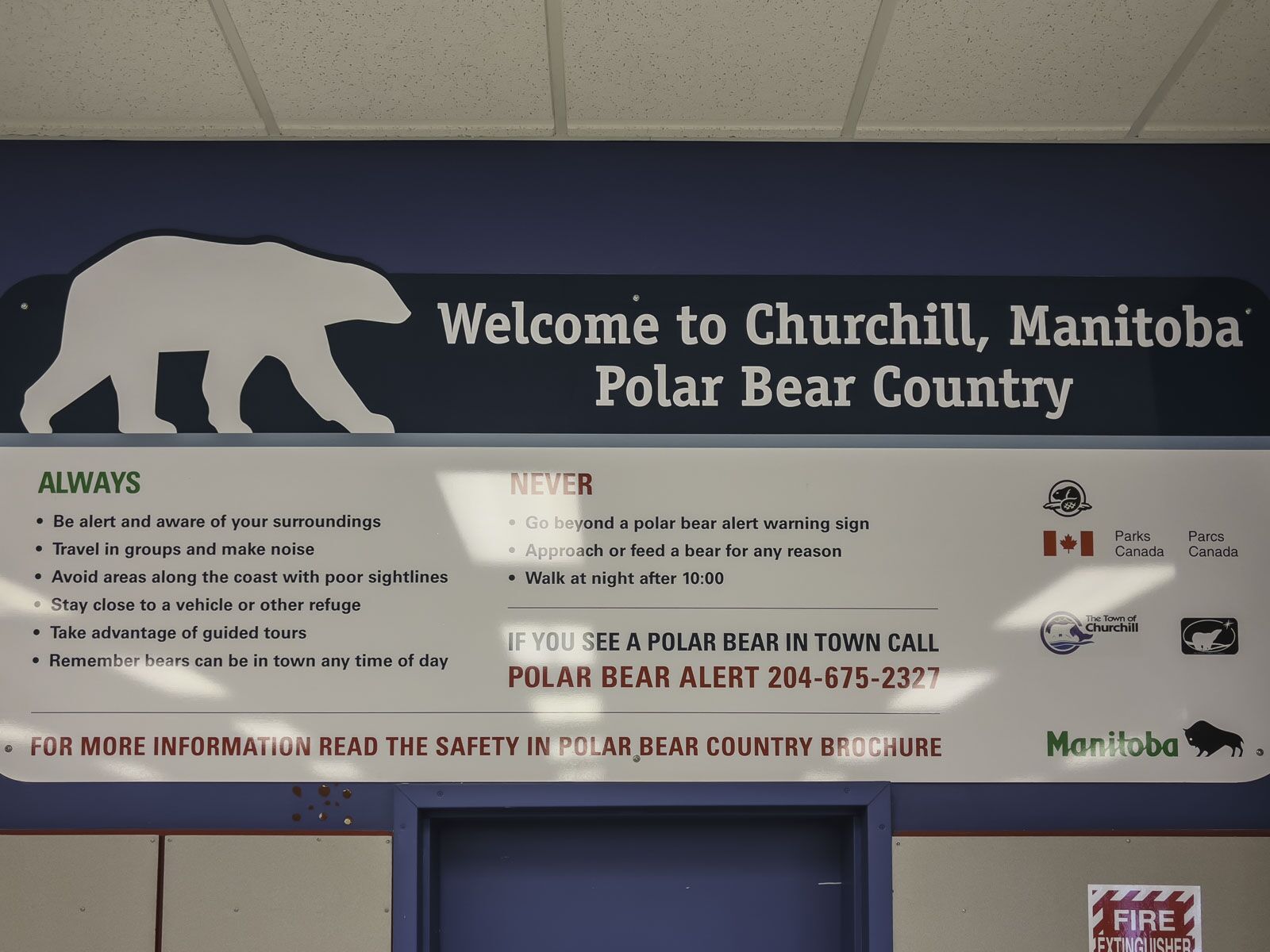 Polar Bear Tours Aeropuerto de Churchill