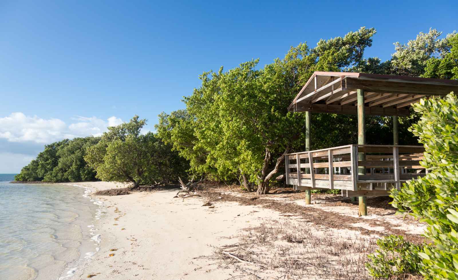 Mejor Key Largo Beach Sombrero Beach Anne's Beach