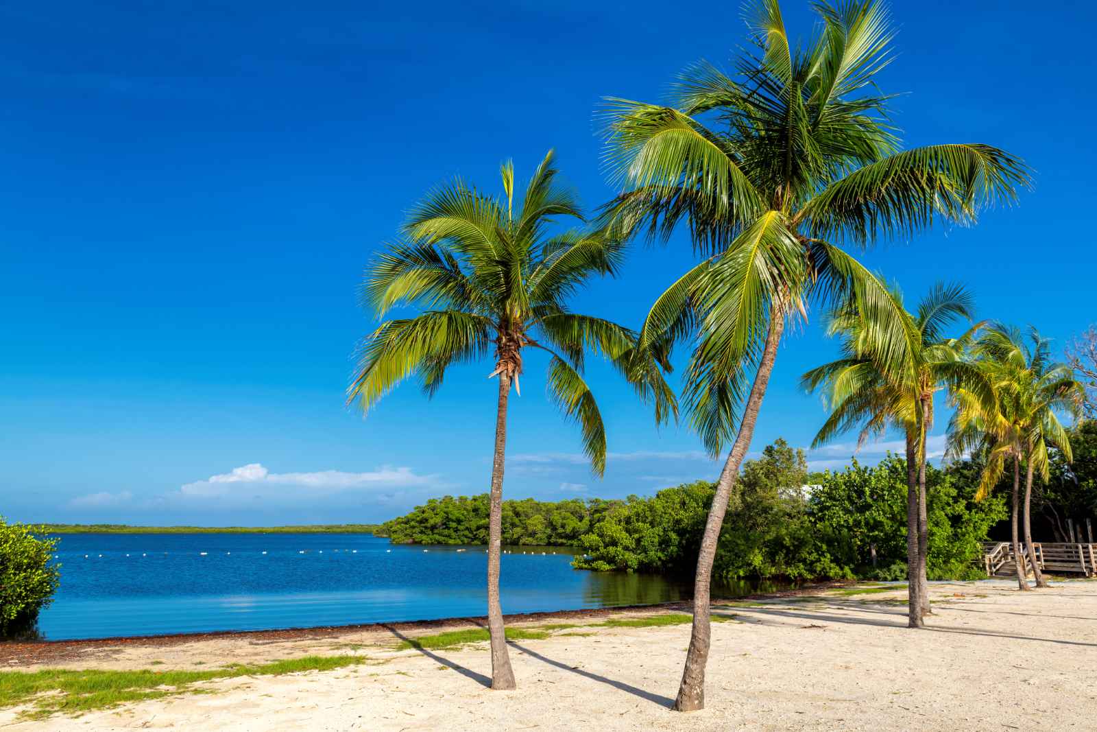 Las mejores playas de Key Largo Far Beach