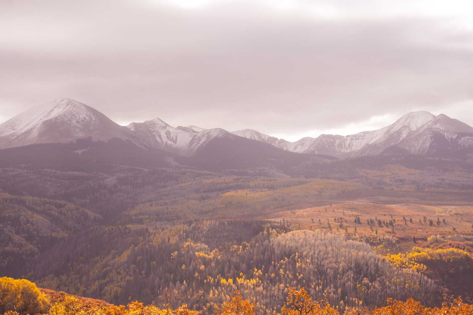 Bosque Nacional Manti-La Sal en Utah