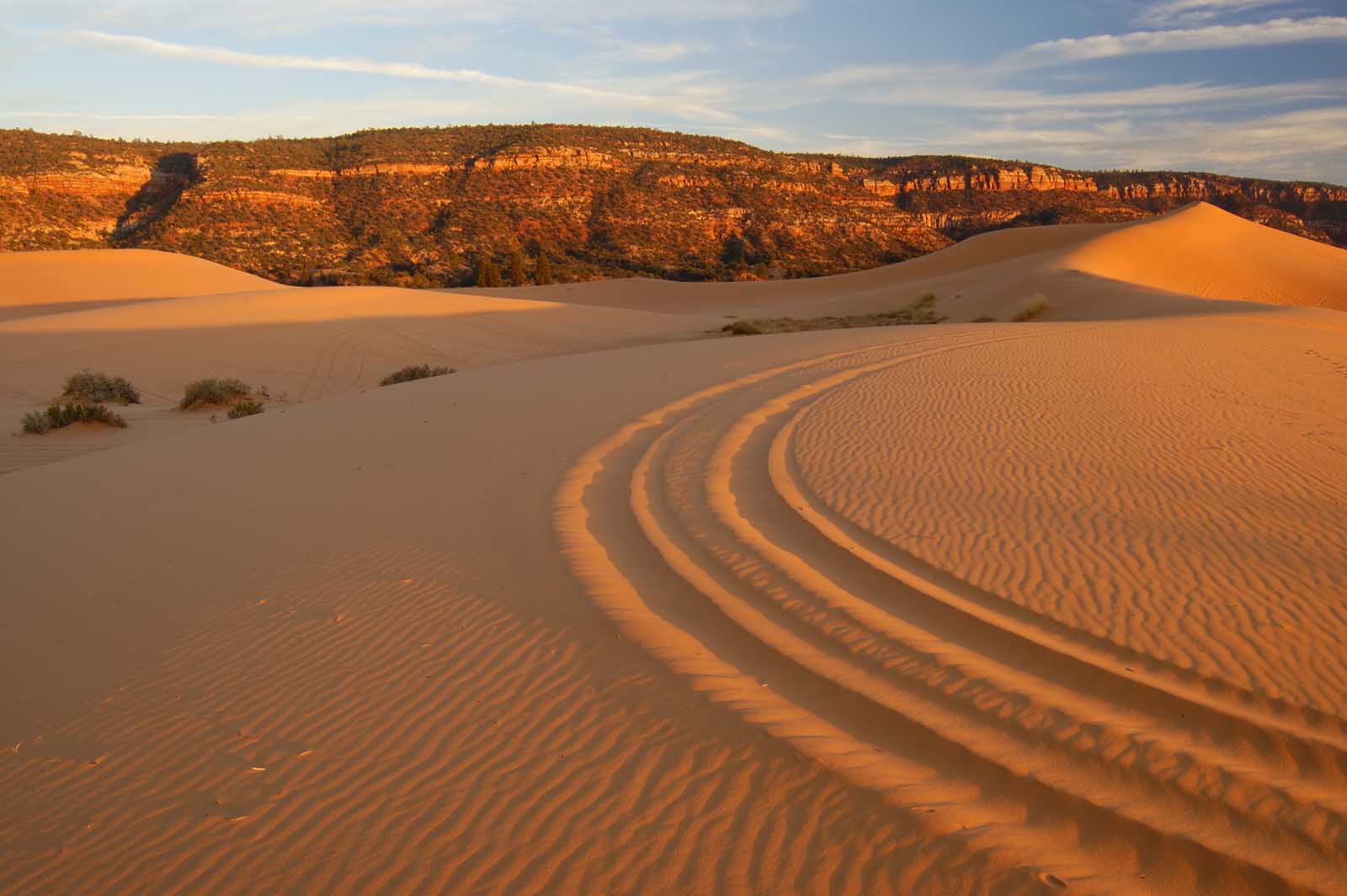 Coral Pink Sand Dunes State Park Utah al atardecer