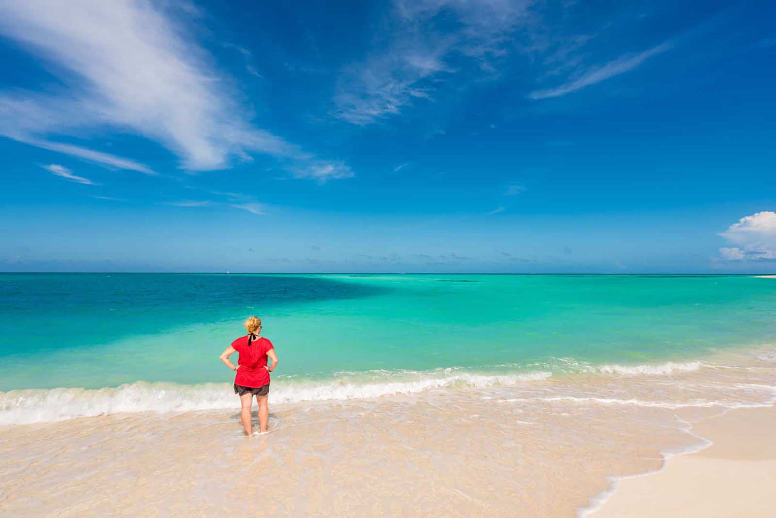 mejores playas de tortugas secas de florecimiento