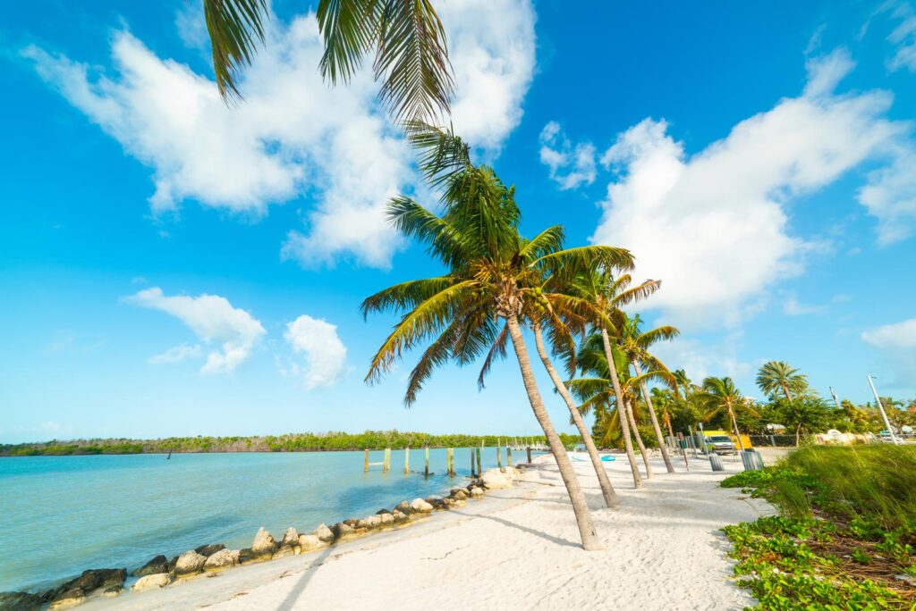 Descubriendo las 19 mejores playas de Florida: sol, arena y serenidad