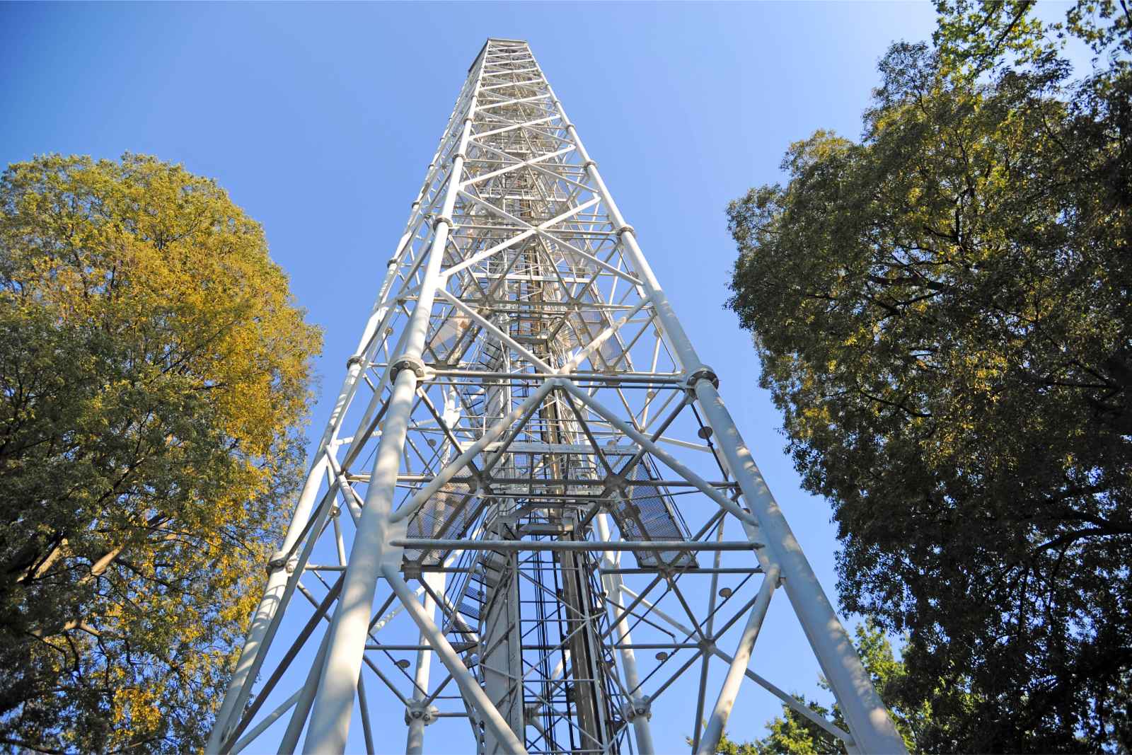 Qué hacer en Milán Torre Branca