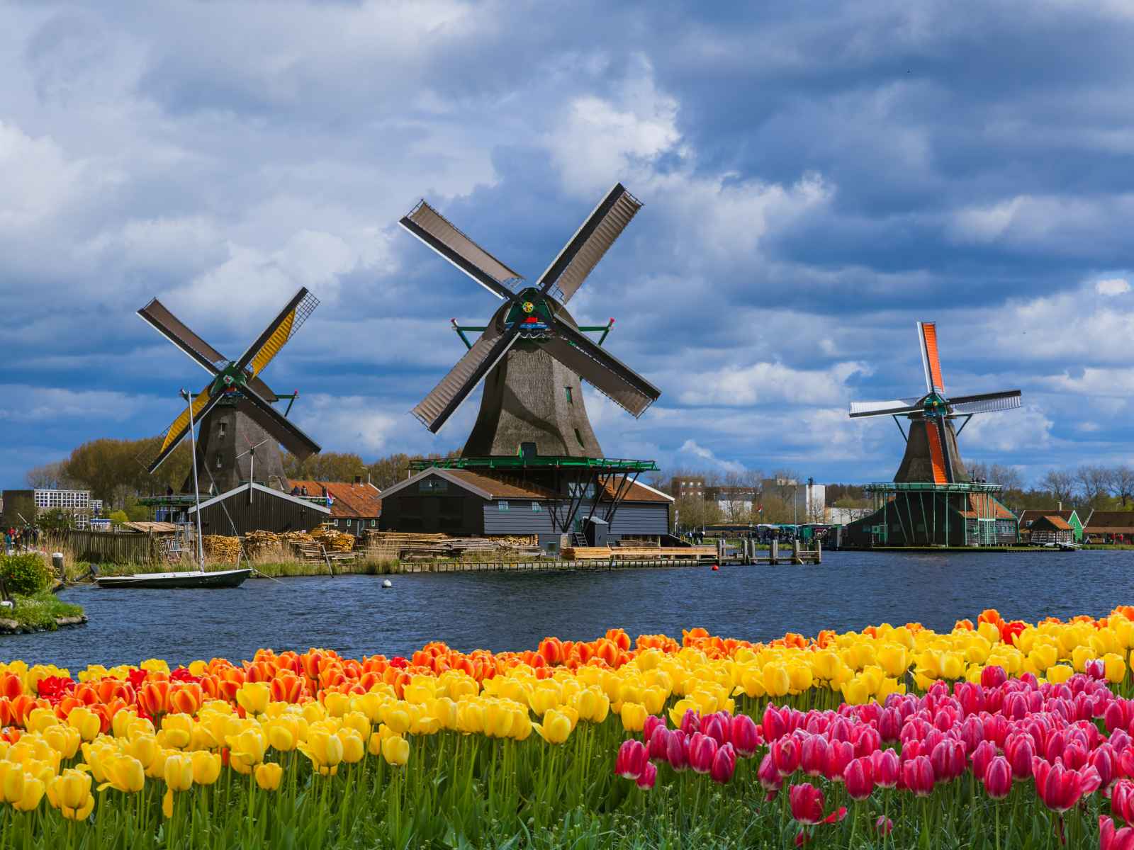 Las mejores cosas que hacer en Amsterdam Excursión de un día en el molino de viento