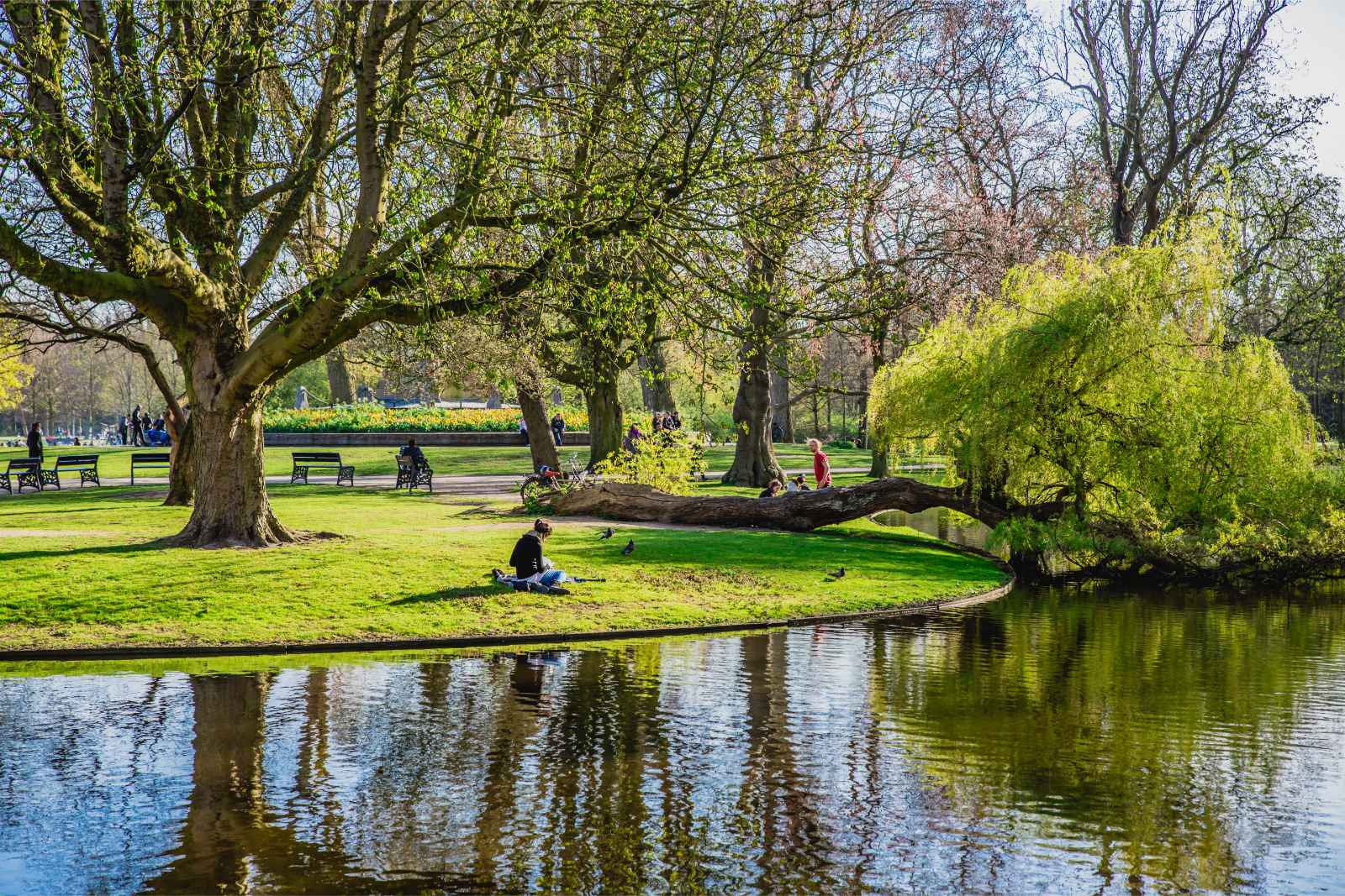 Las mejores cosas que hacer en Amsterdam Vondelpark