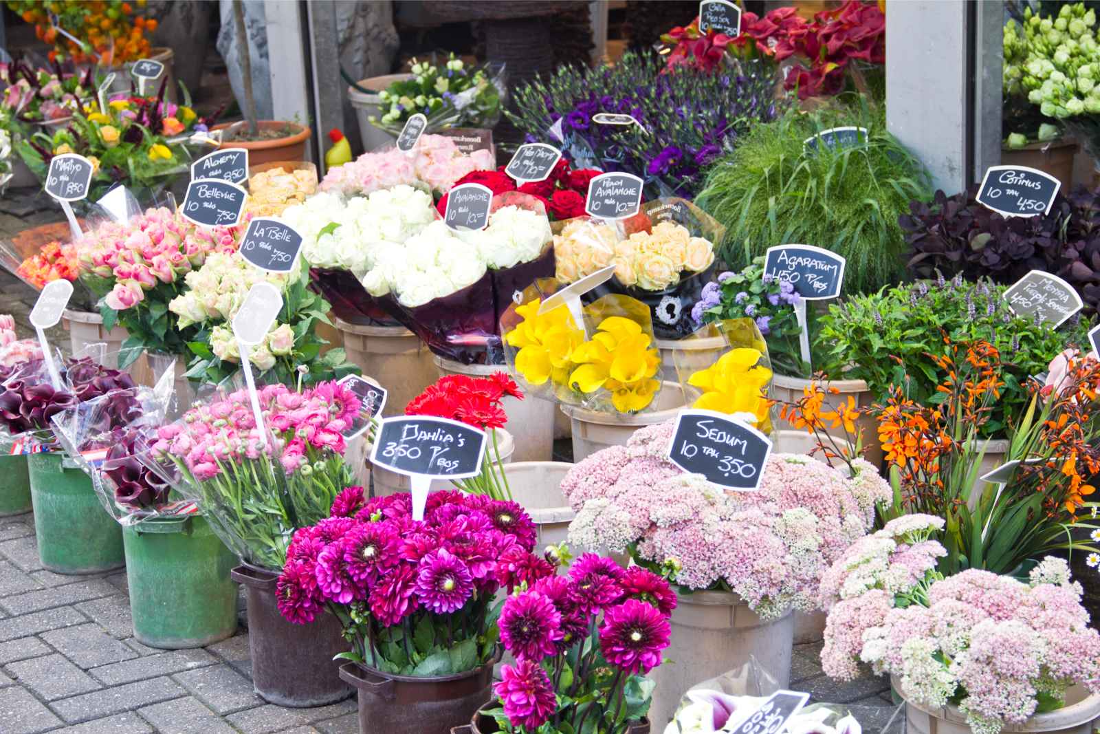 Las mejores cosas que hacer en los mercados de flores de Ámsterdam