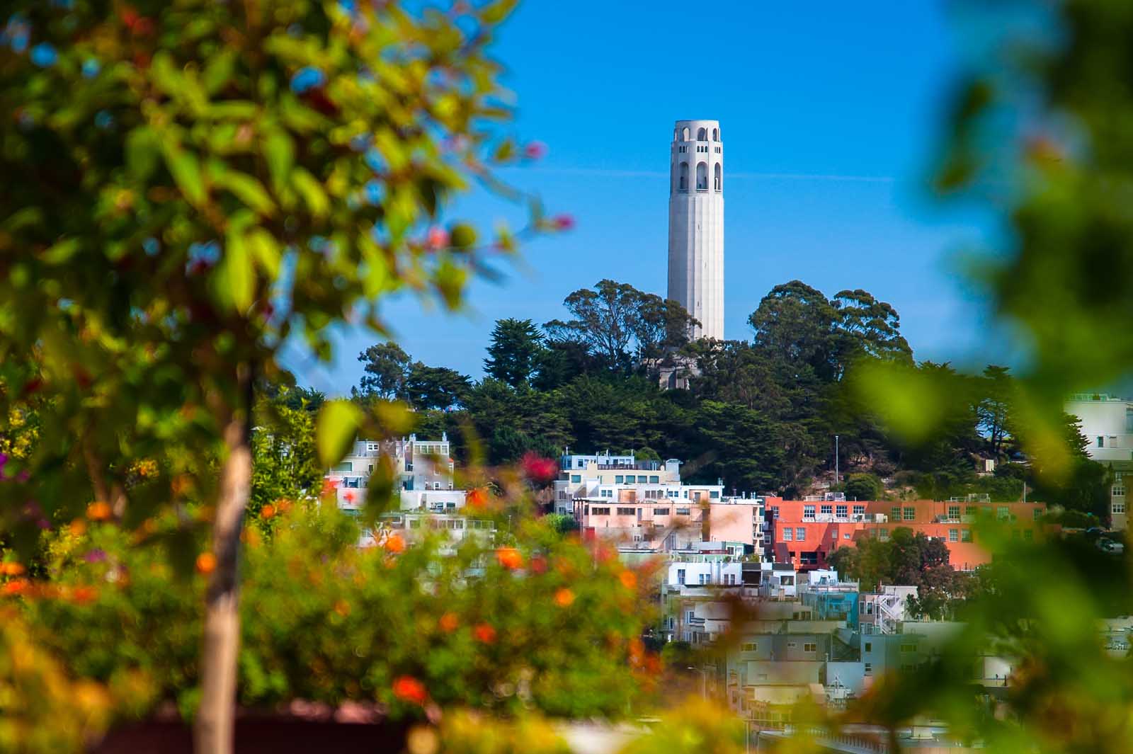 cosas por hacer en sf coit tower