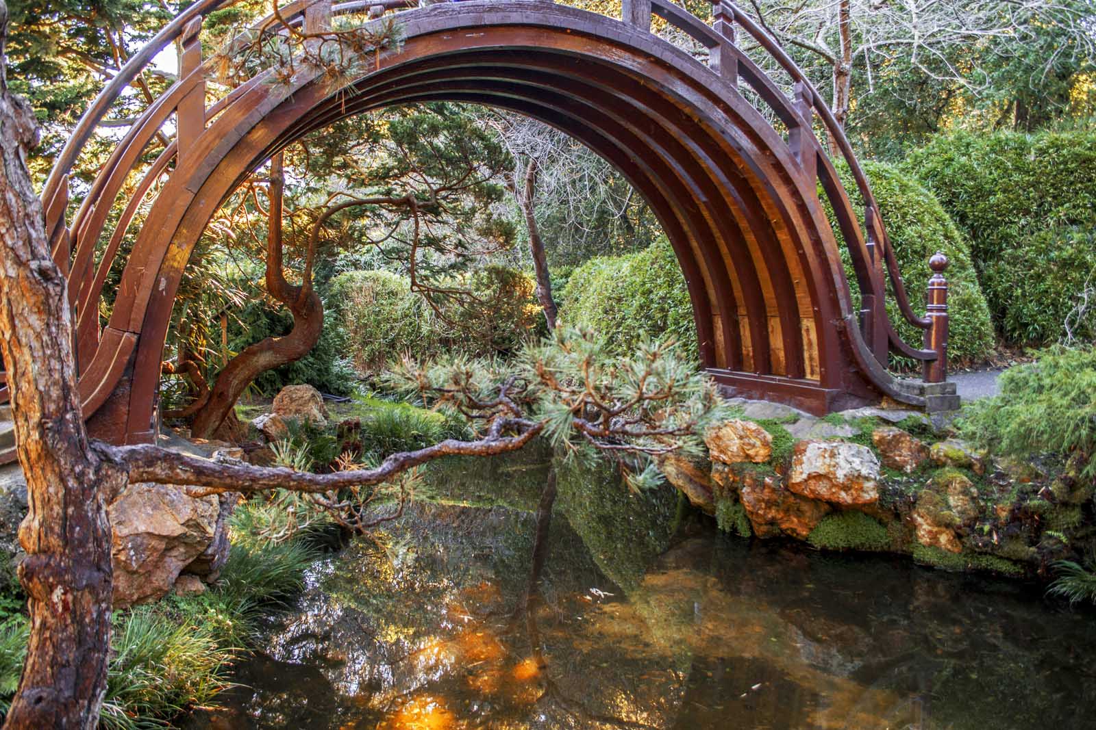 cosas por hacer en el jardín de té japonés sf