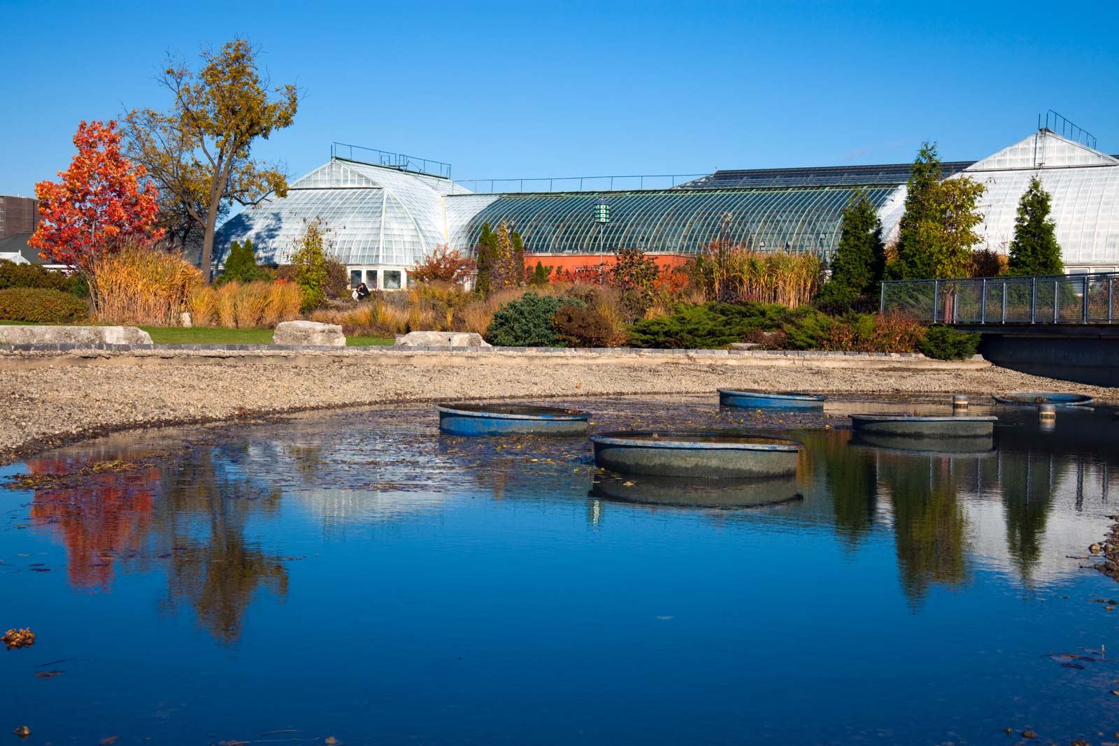 Las mejores cosas que hacer en Chicago Garfield Park Conservatory