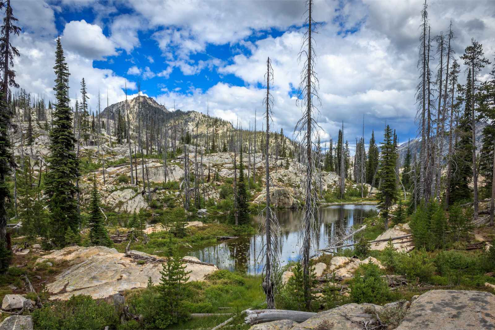 Los mejores lugares para visitar en enero, EE.UU. Payette National Forest