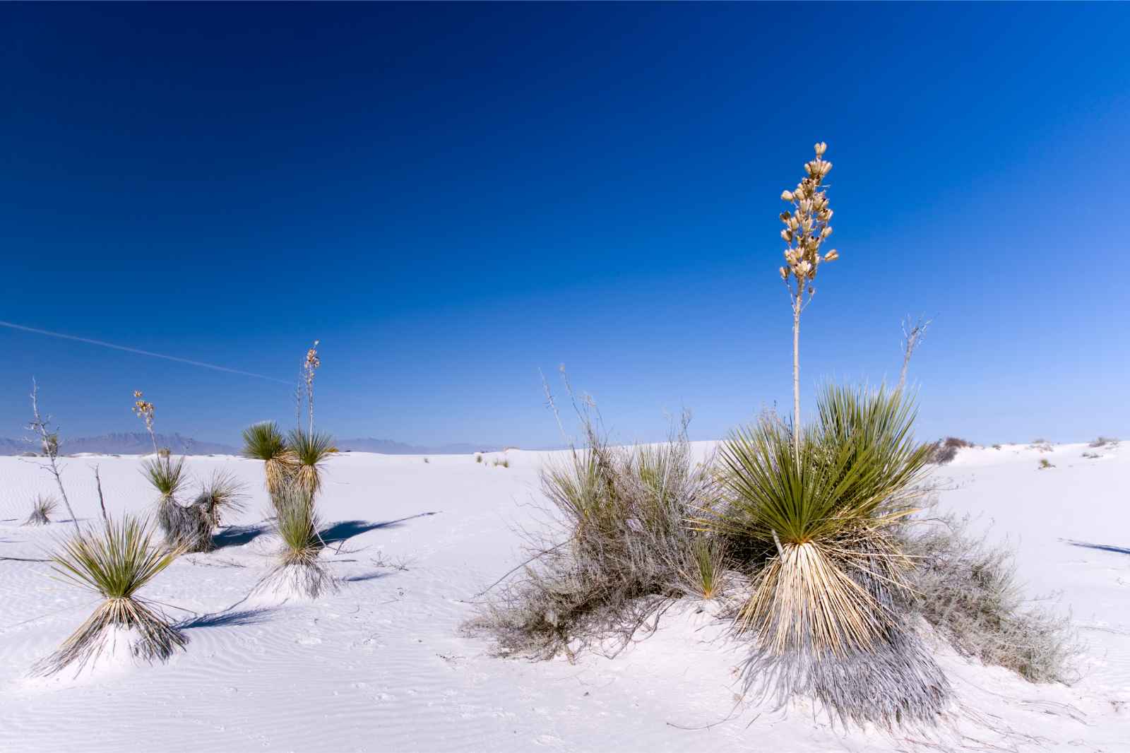 Mejores lugares para visitar en enero, Parque Nacional White Sands de EE.UU.