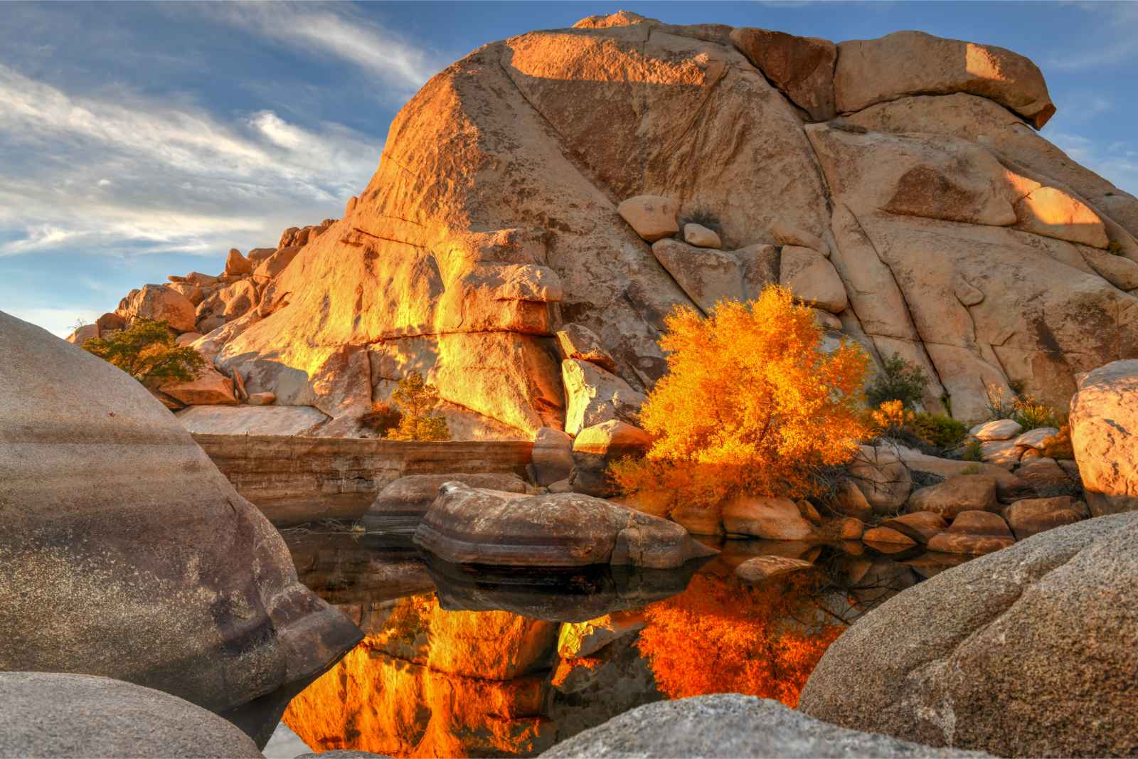 Las mejores cosas que hacer en Las Vegas Red Rock Canyon Barker Dam Joshua Tree