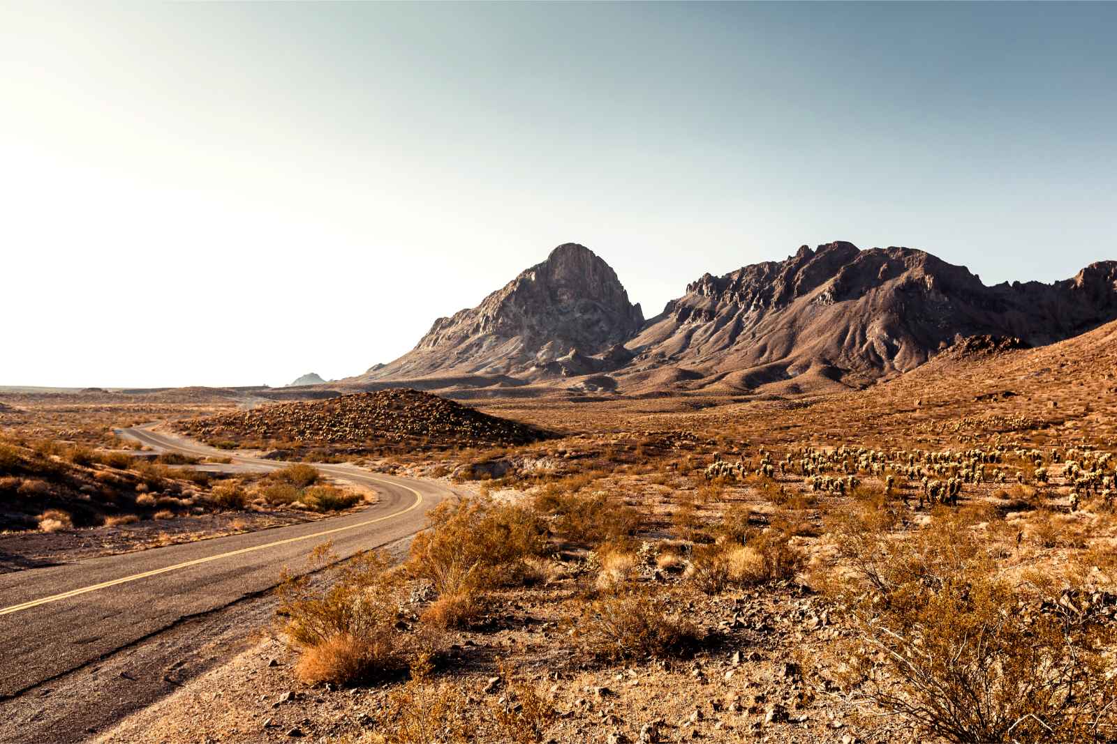 Las mejores cosas que hacer en Las Vegas Mojave National Preserve