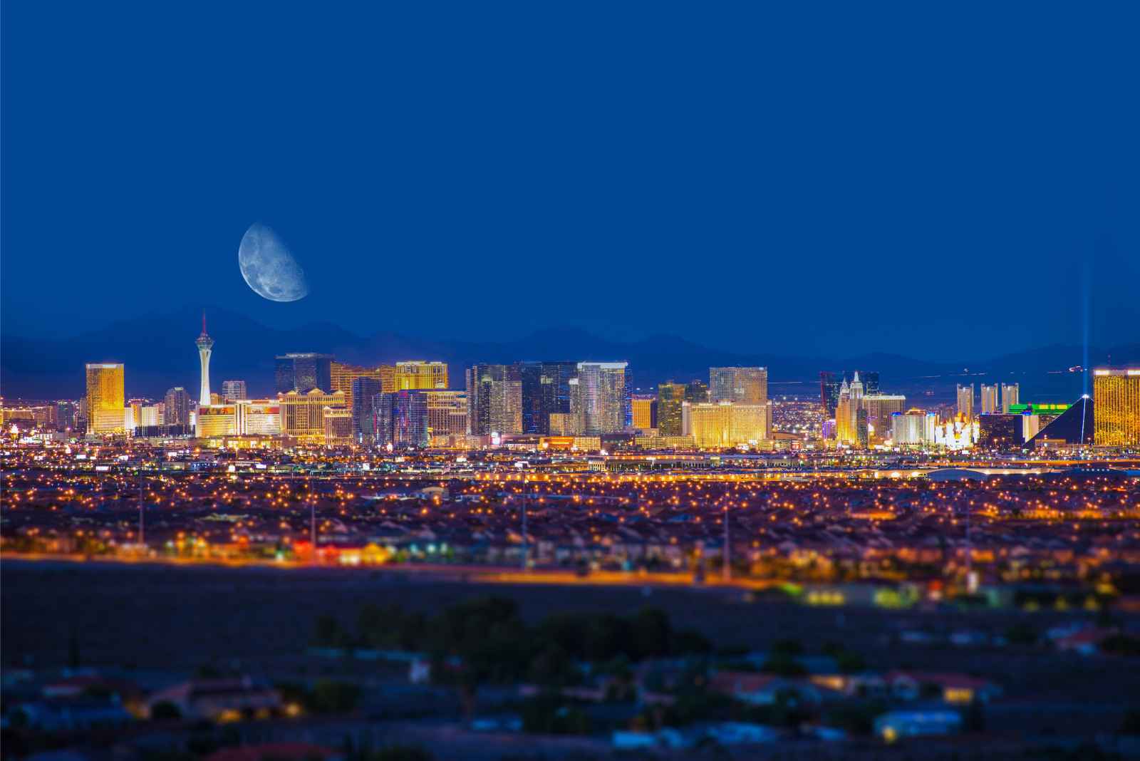 Las mejores cosas que hacer en Las Vegas Dónde alojarse Vegas City Skyline