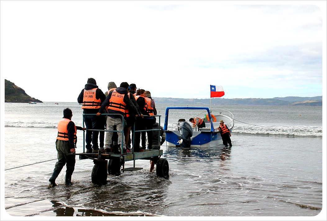 Carro de la colonia de pingüinos Puñihuil Chiloe