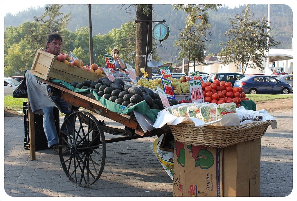 carro de frutas y verduras en santiago de chile