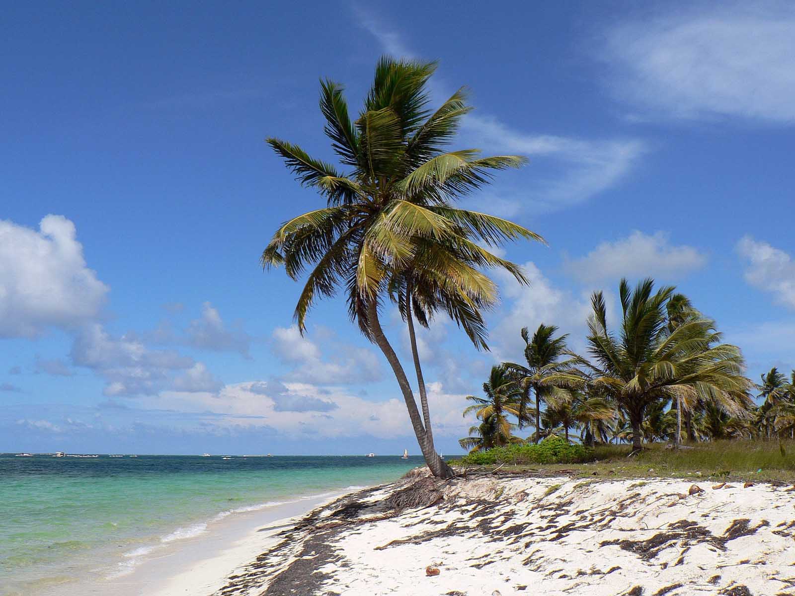 Las mejores playas de la República Dominicana Playa Macau