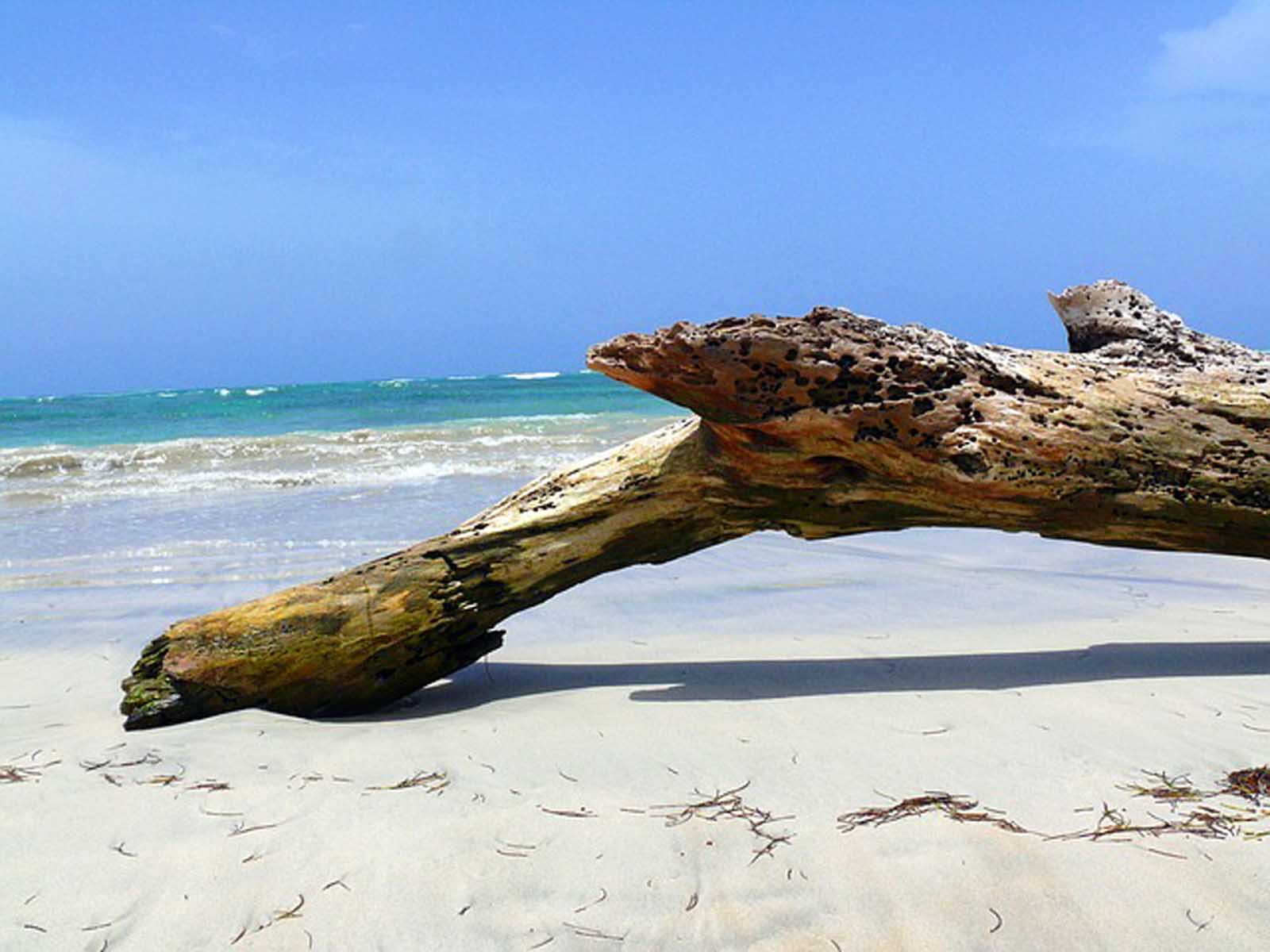 Playa Los Patos en República Dominicana