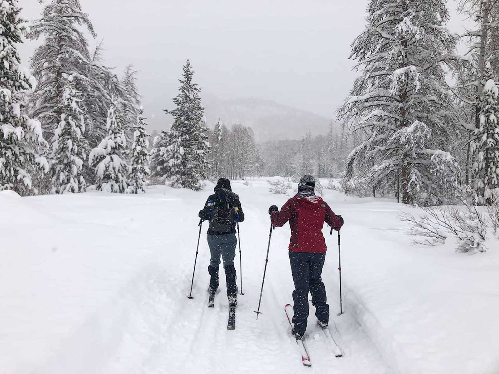 esquí de fondo de invierno de Colorado