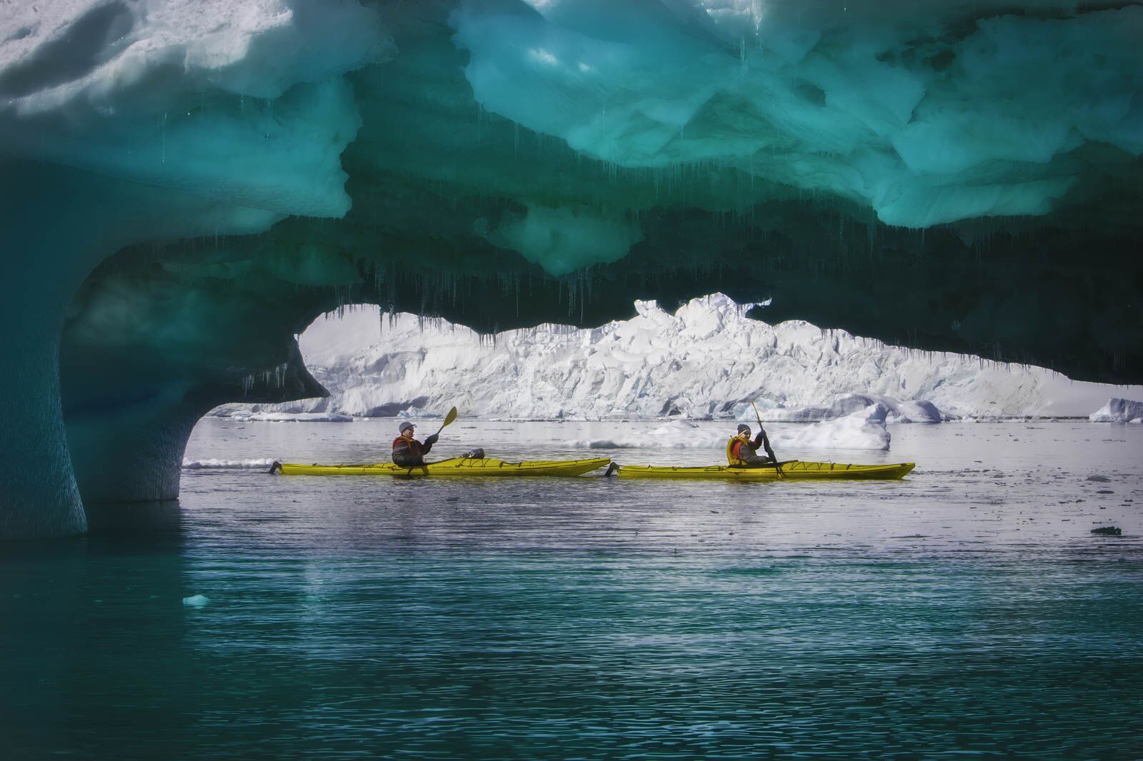 Qué hacer en la Antártida Kayak 