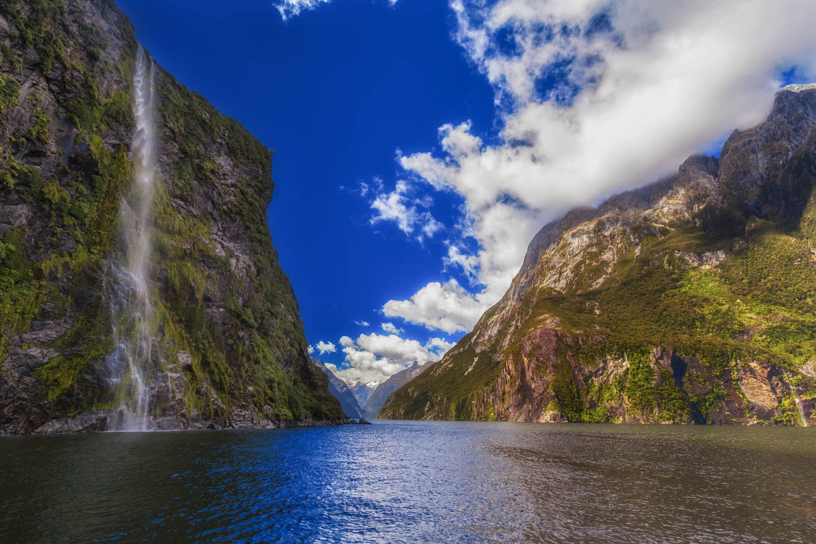 mejores cosas que hacer en Nueva Zelanda milford sound cruise