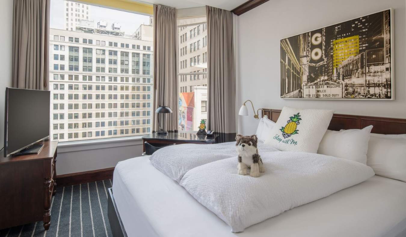 Habitación del hotel Staypineapple de Chicago, con un perro de peluche en la cama y una gran ventana con vistas a los rascacielos de la ciudad