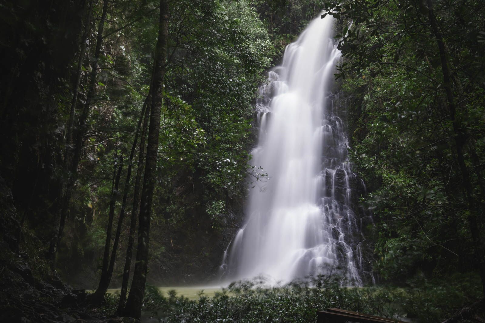 qué hacer en las cataratas de Belice