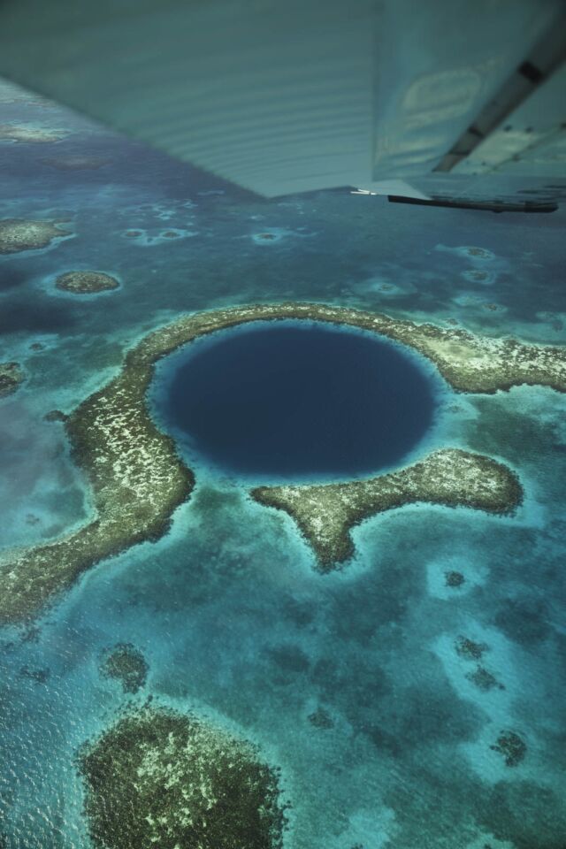 cosas que hacer en Belice tour del agujero azul