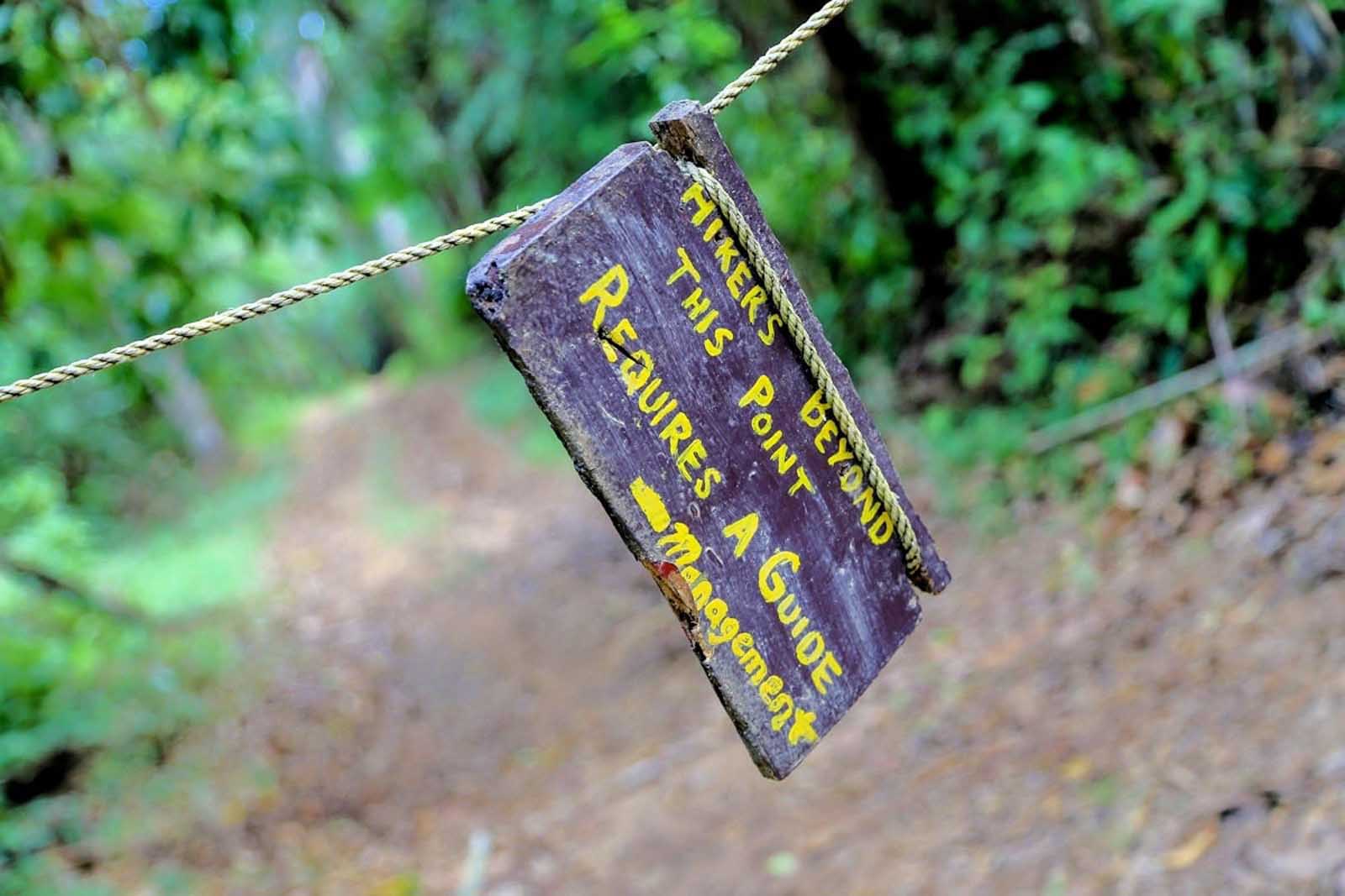 santuarios de vida salvaje reserva de jaguares