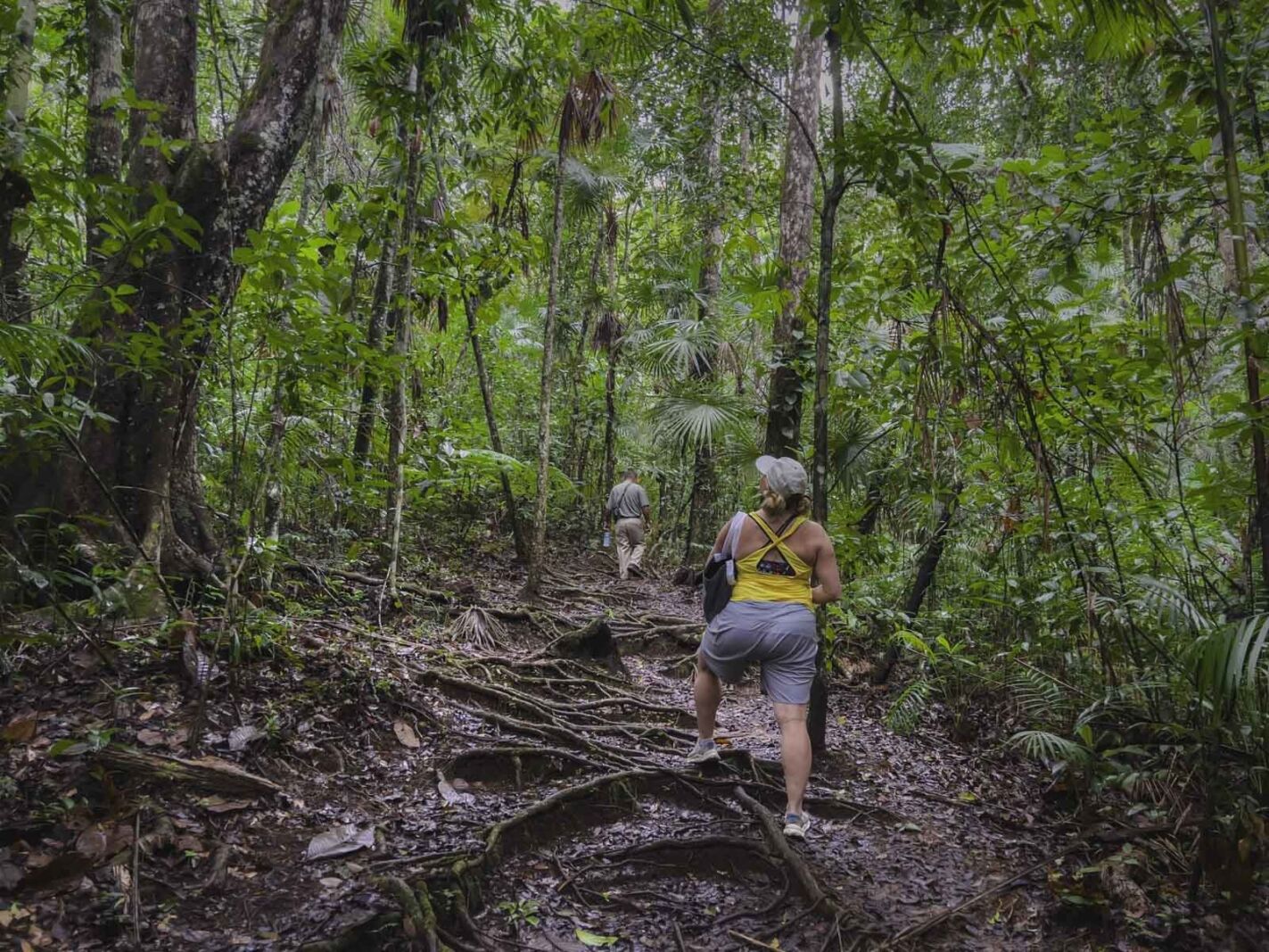 lugares para visitar en la reserva forestal de Belice Mountain Pine Ridge