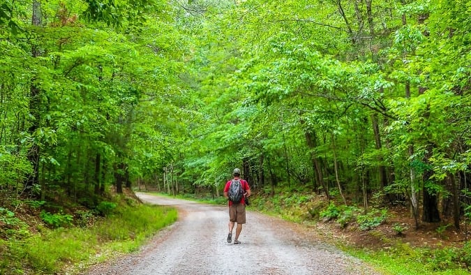 Un hombre camina por un sendero frondoso en el parque estatal de Umstead en Raleigh, Carolina del Norte