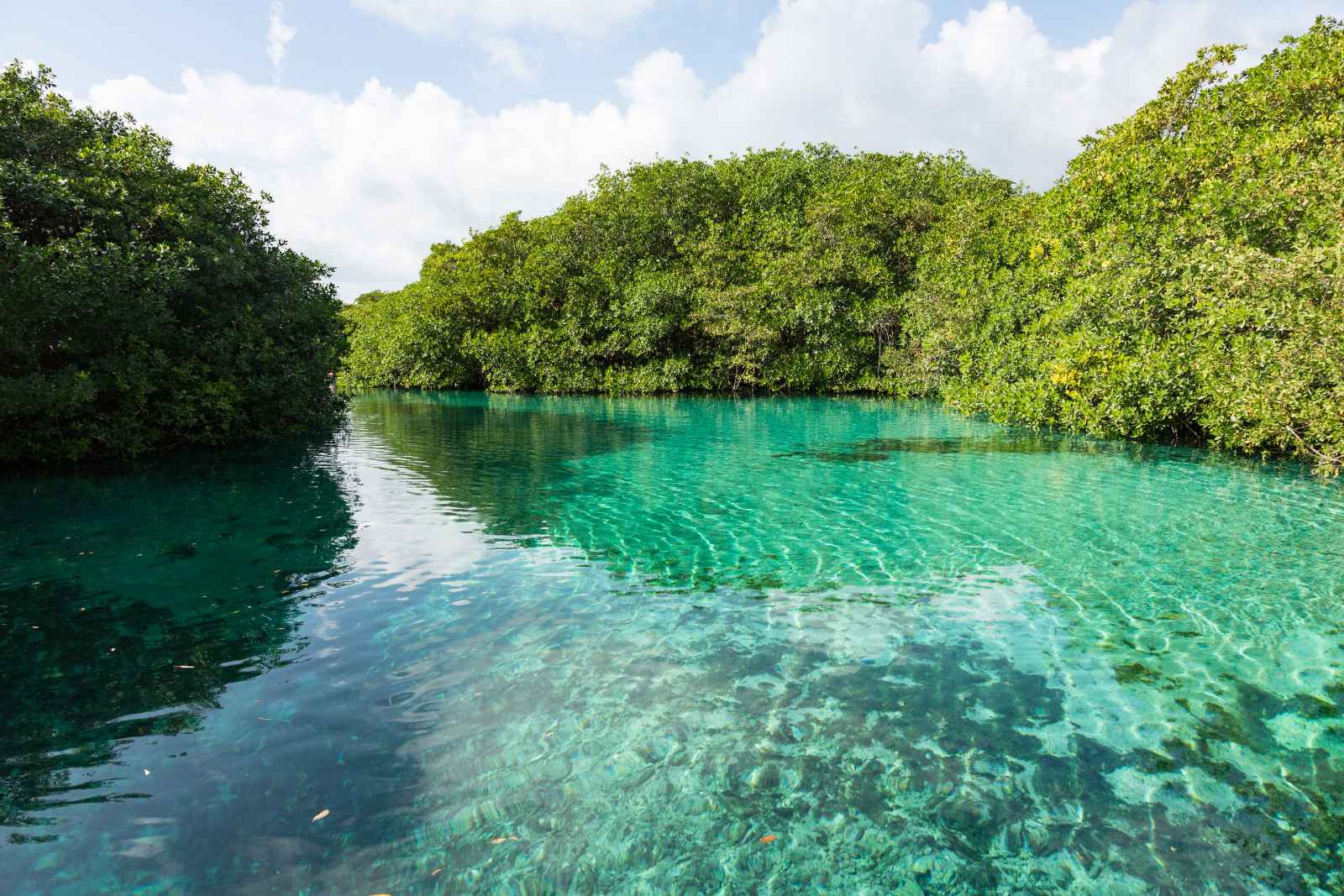 Qué hacer en Tulum México Casa Cenote