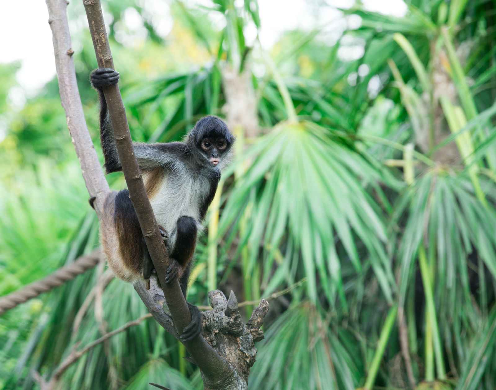 Las mejores cosas que hacer en la Reserva Natural de Punta Laguna de Tulum