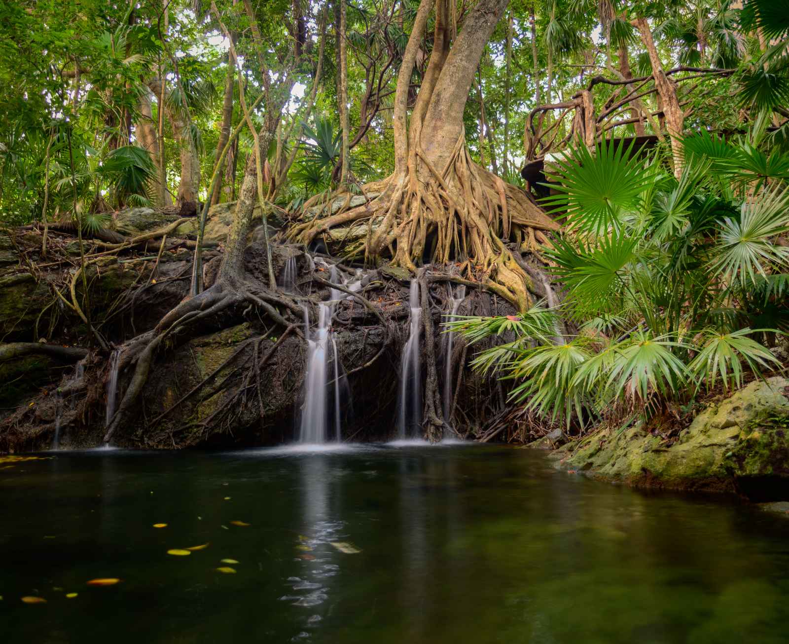 qué hacer en Tulum México Parque Nacional Tulum