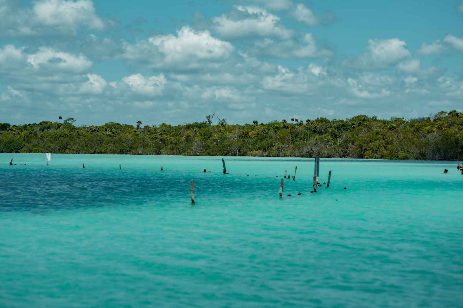 Las mejores cosas que hacer en Tulum Laguna De Kaan Luum