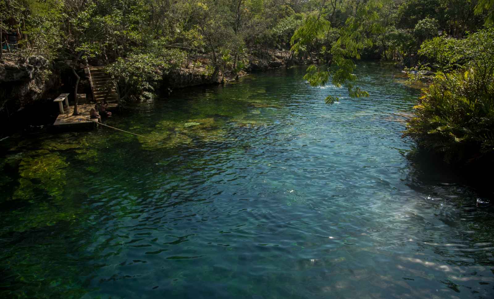 Las mejores cosas que hacer en Tulum Cenote Cristal Tulum México