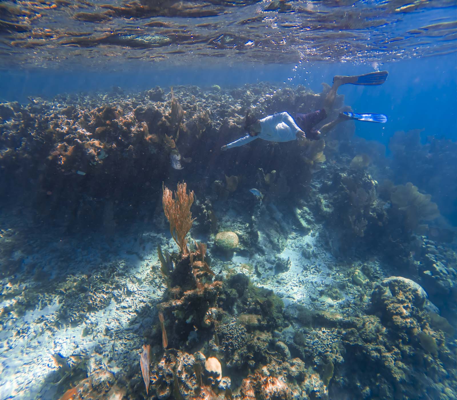 Itinerario por el arrecife del canal sur de Belice