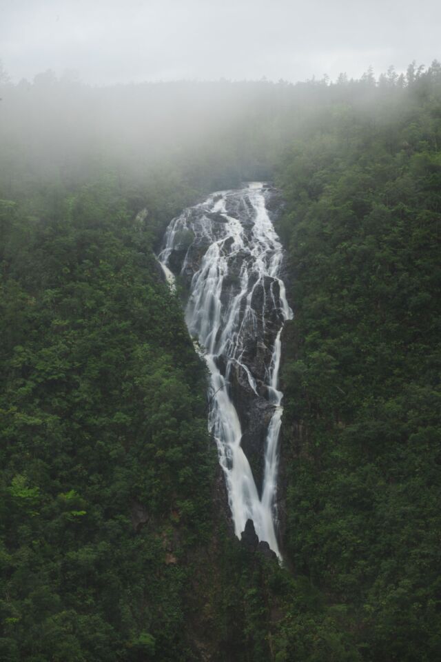 Cataratas en la reserva natural de Mountain Pine Ridge Belice