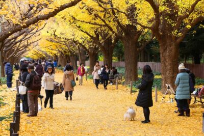 Tokyo in November